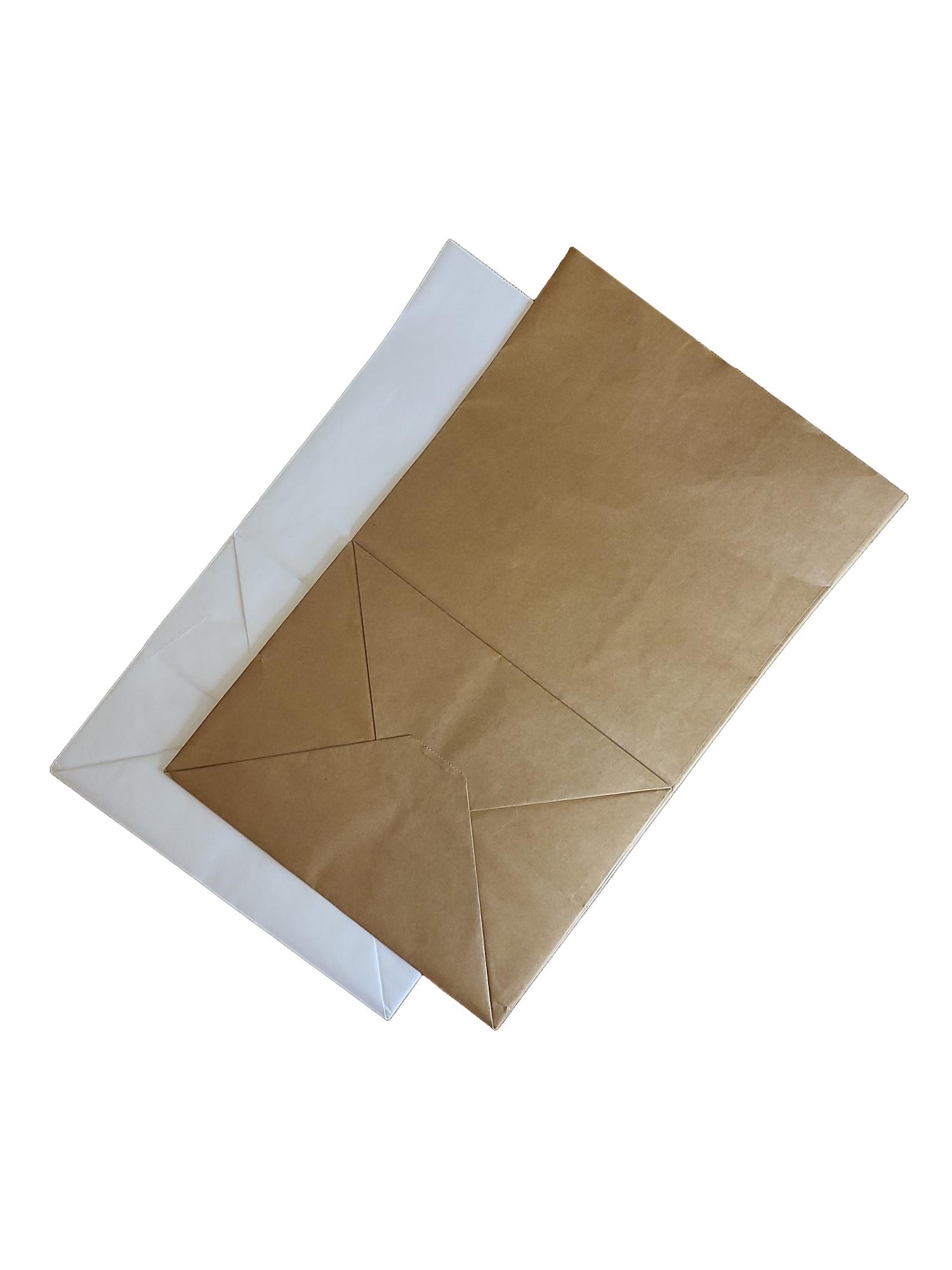 Medium Paper Bag