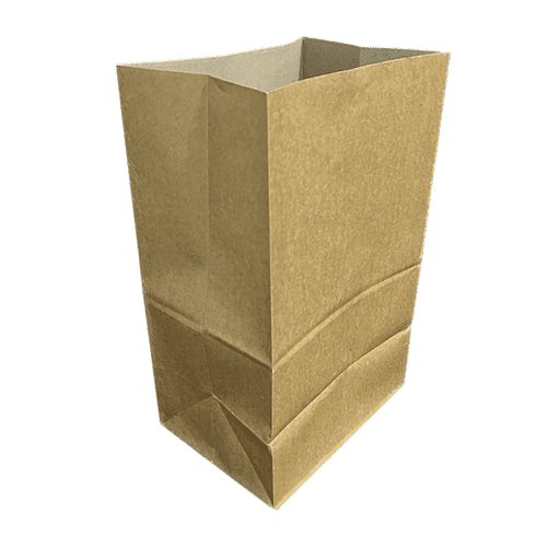 Medium Paper Bag
